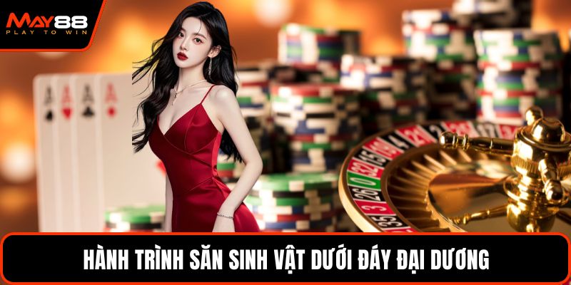 Hành trình săn sinh vật dưới đáy đại dương
