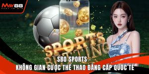 SBO Sports - Không Gian Cược Thể Thao Đẳng Cấp Quốc Tế